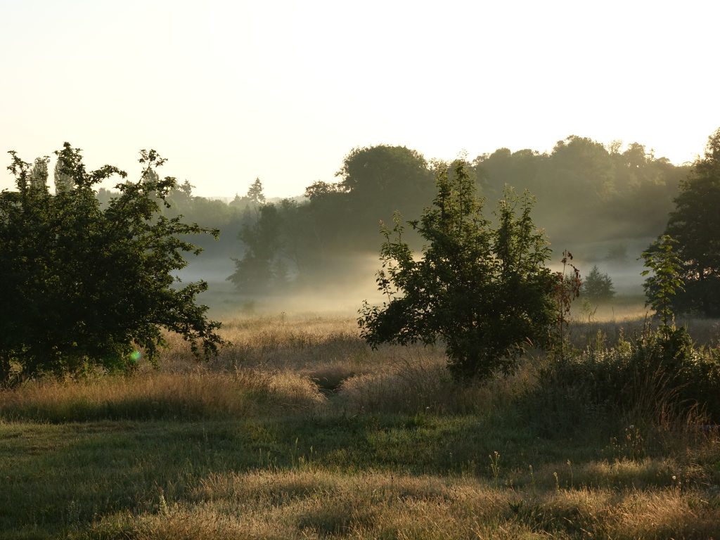 Plaine brumeuse